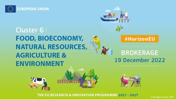 Cluster 6  brokerage (1)